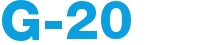 G-20